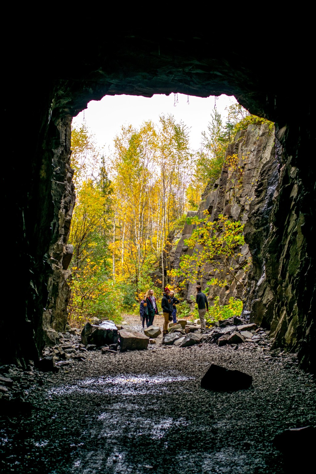Beyond the Stage: Our Mission, Our Community, and the Power of Ideas at&nbsp;TEDxDuluth